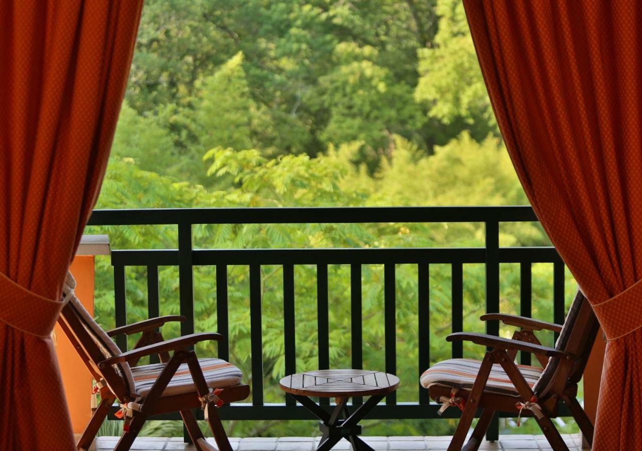 Hotel Les Freres Ibarboure ビダール エクステリア 写真
